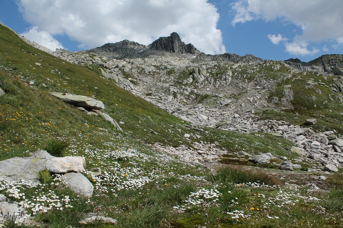 weglos mit Blick auf den Krüzlistock