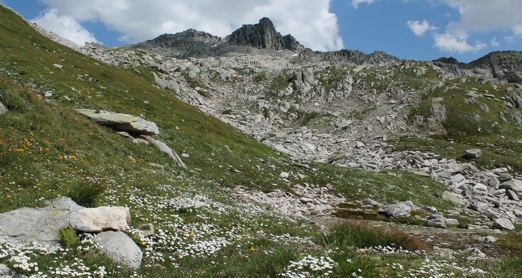 weglos mit Blick auf den Krüzlistock