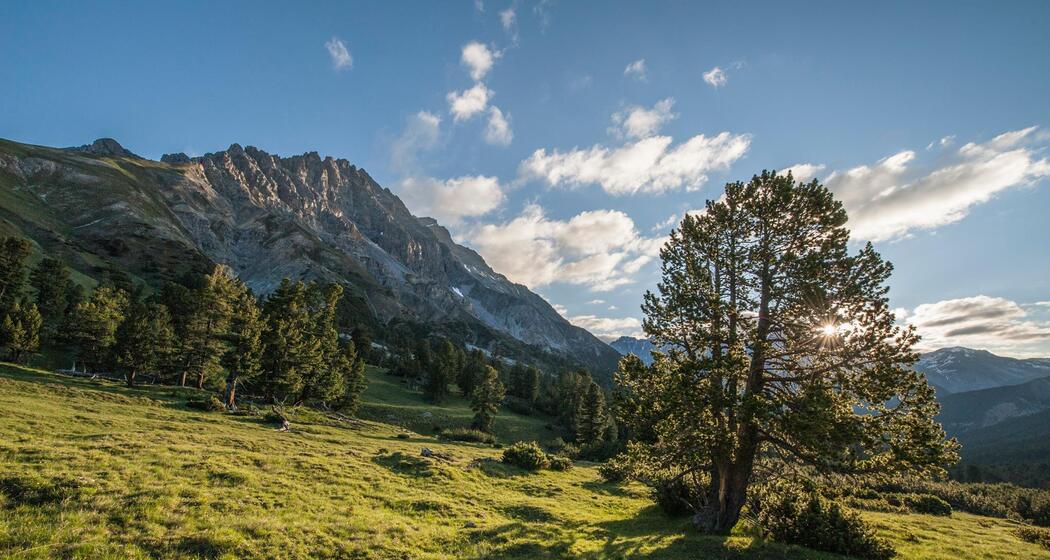 Nationalpark: Val Mingèr – Val Plavna – Tarasp (oua_23253919_image)