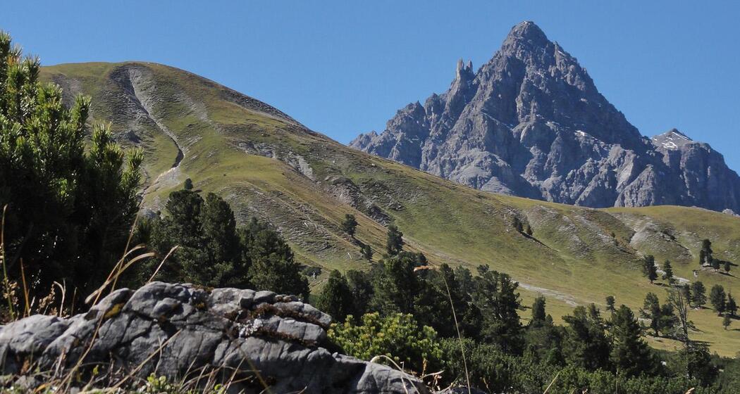 Nationalpark: Val Mingèr – Sur il Foss – Fuorcla Val dal Botsch – Ofenpassstrasse (oua_23253920_image)