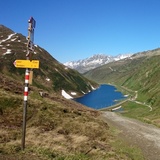 Au col de Tiarms