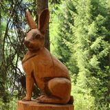 Percorso didattico nel bosco Lareschs (oua_23302592_image)