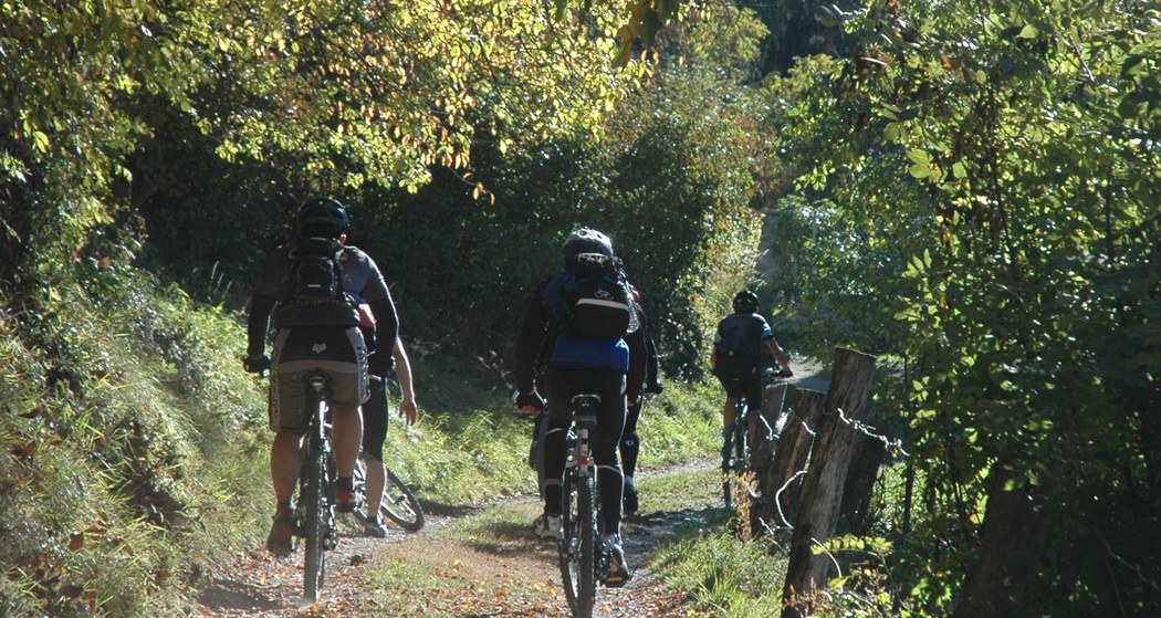 Biker auf dem Waldweg