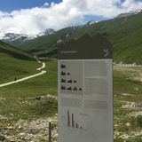 Informationstafel über das Gruppenleben
