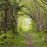 Waldlehrpfad Andeer-Clugin