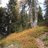 Bergwanderweg