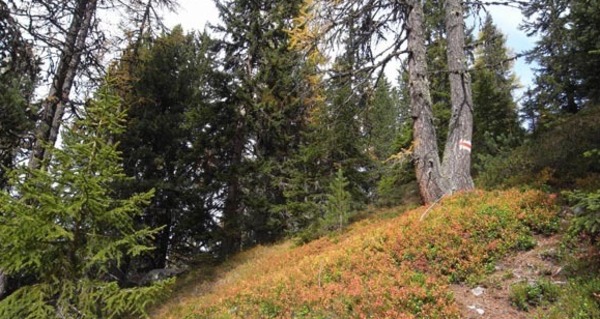 Bergwanderweg