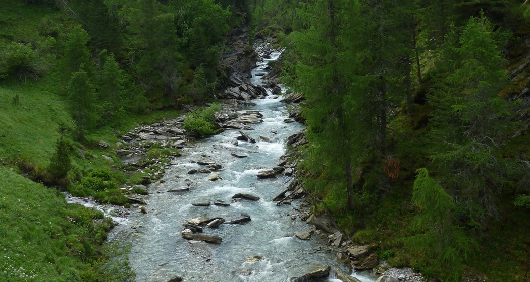 Ragn da Ferrera