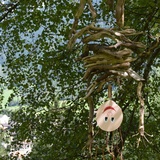 Sentier d'aventure pour enfants Zwergenwald