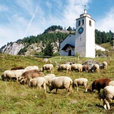 chiesa romanica in Ausserferrera