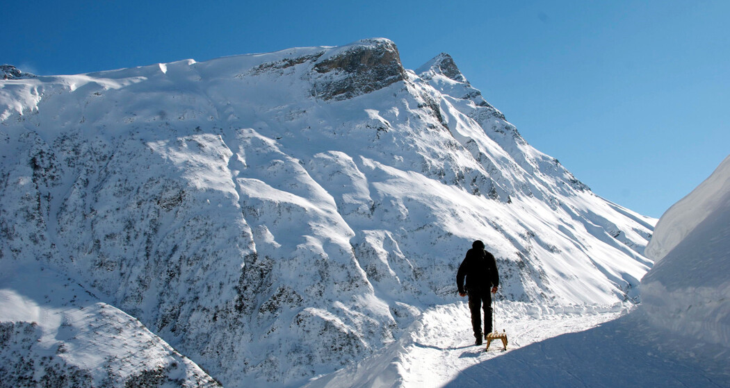 Schlittelweg Hinterrhein