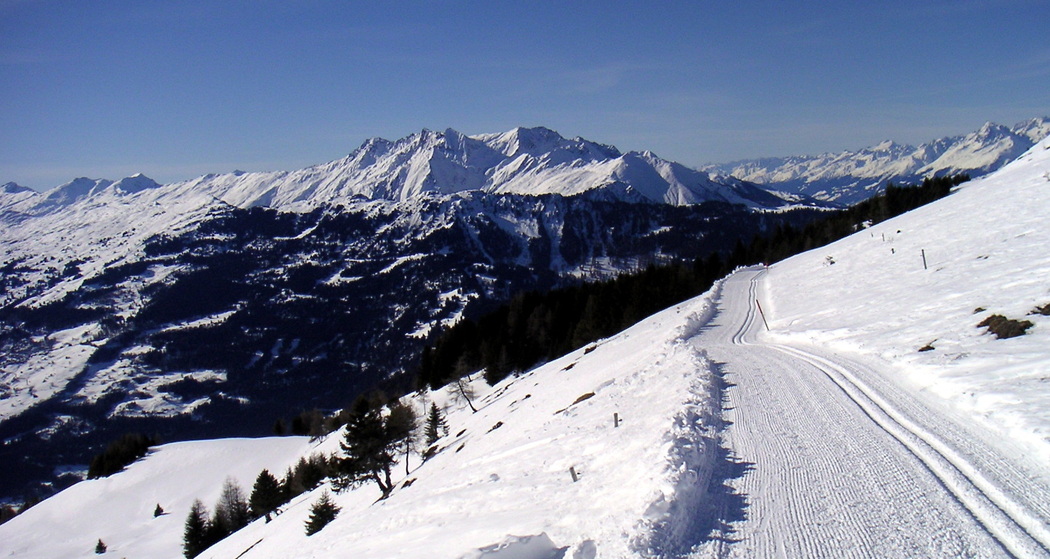 Langlaufloipe Feldis