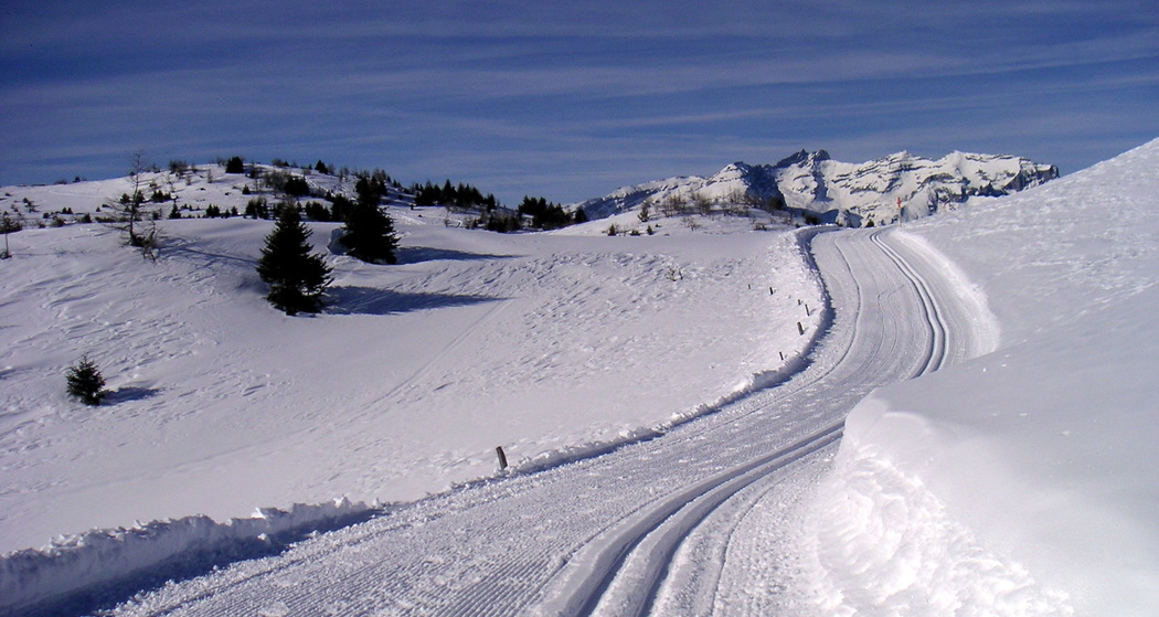 Feldis: Panoramaloipe Berg (oua_23420053_image)
