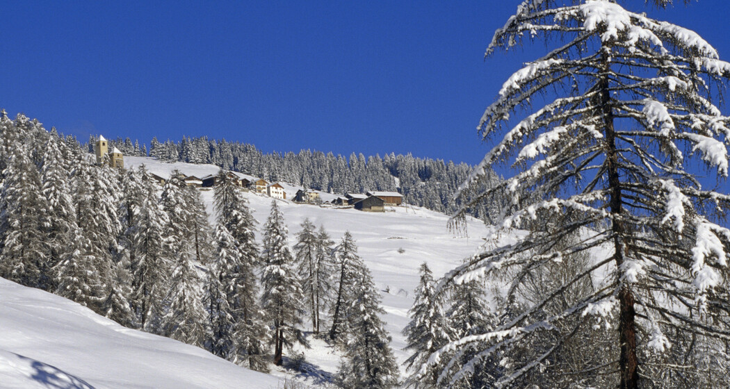 Lohn am Schamserberg