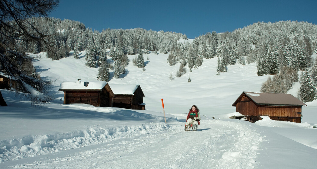 Schlittelbahn Feldis - Domat/Ems