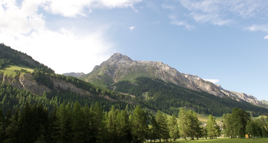 Splügen in den Erlen