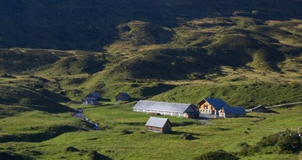 Alp Fursch - idyllische Voralpenlandschaft