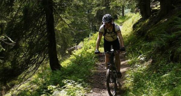Anspruchsvoller Trail durch den Furschwald