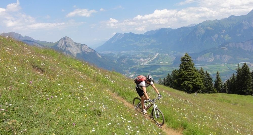 Aussicht ins Rheintal