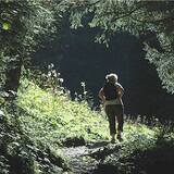 Aus dem Wald in die Lichtung