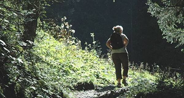 Aus dem Wald in die Lichtung