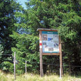 Informationstafel Gämse