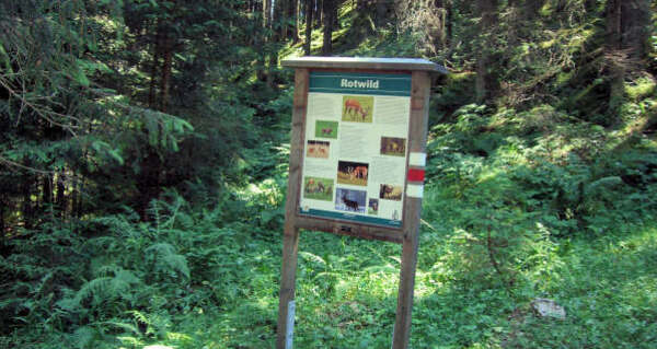 Informationstafel Rotwil