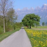 Heidiland Pattinaggio n. 53