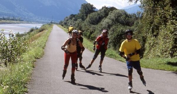 Heidiland Skate Nr. 53