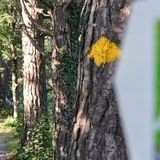 Der Giessenpark-Trail entlang der Tamina