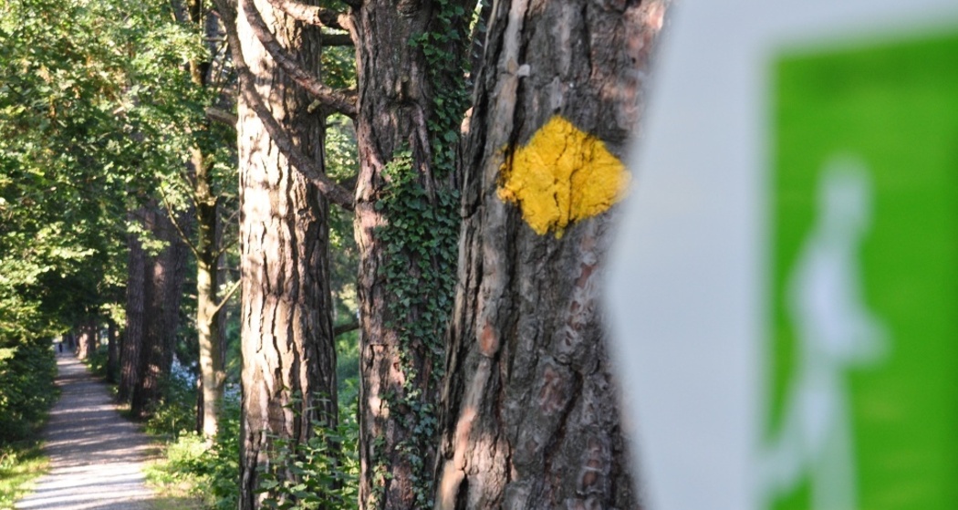 Der Giessenpark-Trail entlang der Tamina