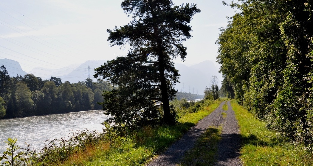 Der Rhein als Namensgeber des Trails