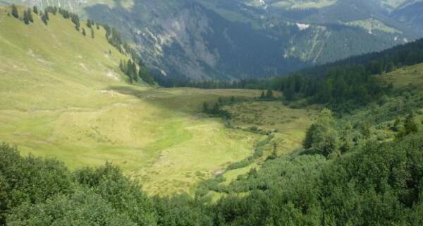 Blick auf das Gebiet Sieben Brünnen