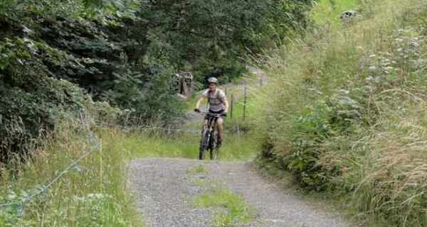 Traverse auf dem Waldweg Richtung Unter Valzeina