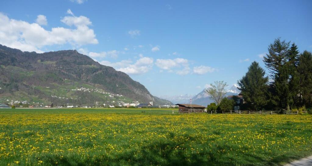 beim Mühlihof, Blick Richtung Mastrils