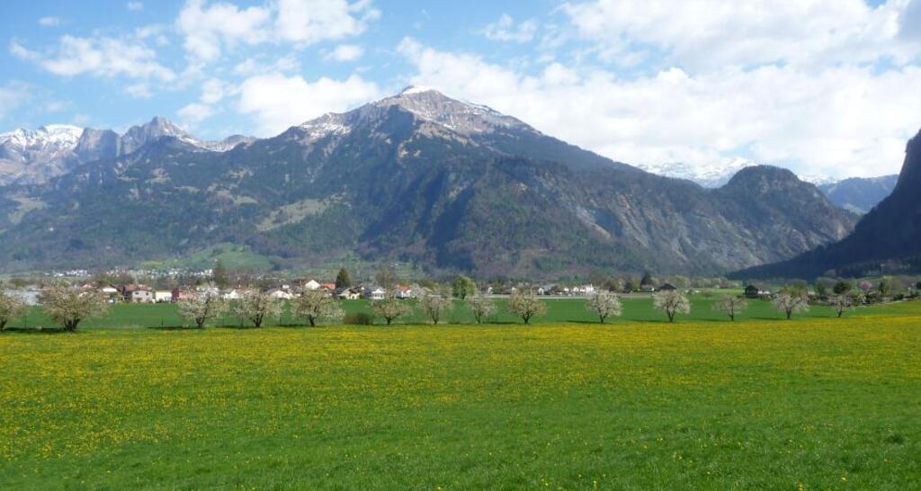 bei der Kreuzwiese, Blick Richtung Malans