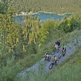 Percorso per famiglie nella foresta di Flims (oua_23434890_image)