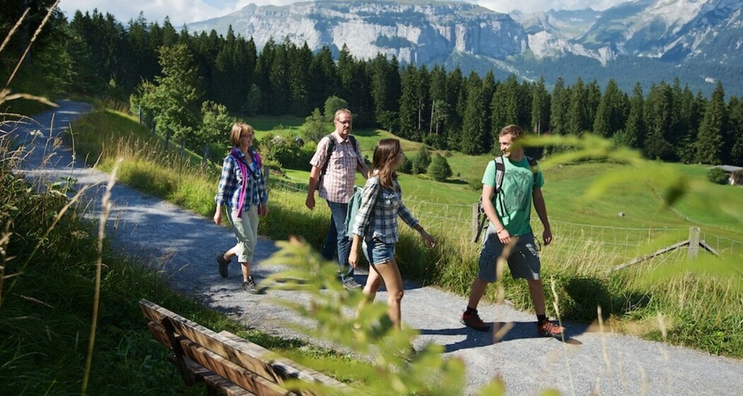 Wanderweg Flims