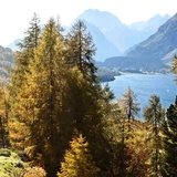 Von der Alp Petpreir Richtung Maloja