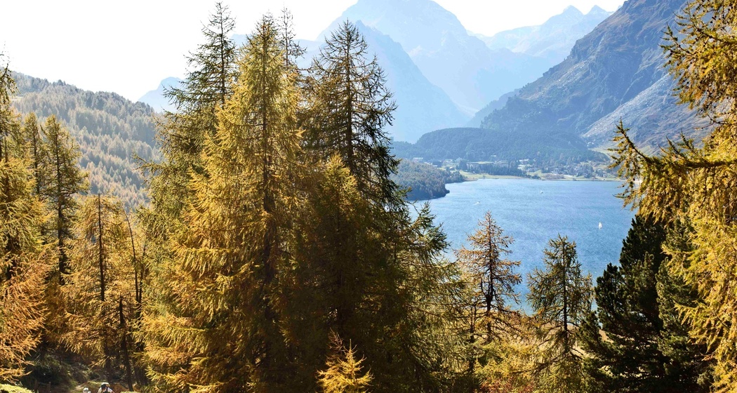 Von der Alp Petpreir Richtung Maloja