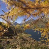 Herbststimmung in Sils