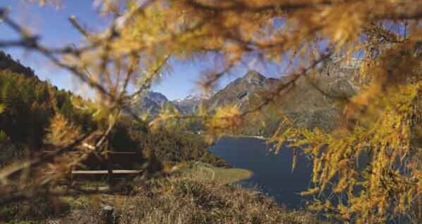 Herbststimmung in Sils