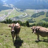 Vue de l'Alp Muntatsch sur la vallée