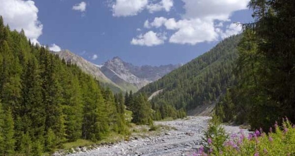 Oberhalb des Val Cluozza