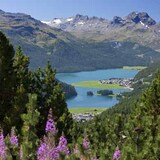 view back to Silvaplana