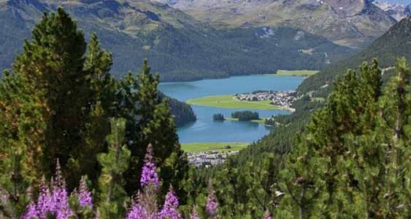 Blick zurück nach Silvaplana