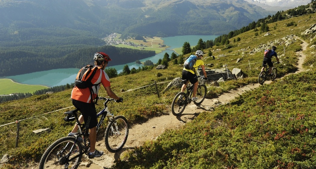 Im Bereich Orchas oberhalb Silvaplana