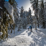 Celerina- Pontresina (SchweizMobil Route 564) (oua_23436375_image)