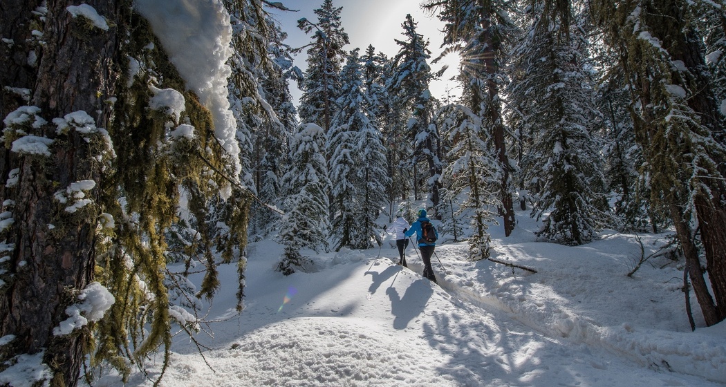 Celerina- Pontresina (SchweizMobil Route 564) (oua_23436375_image)