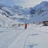 Morteratsch (SwitzerlandMobility route 314) (oua_23436378_image)